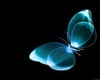 Butterfly Sparklelight