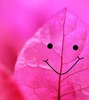 Leaf-ing a smile for you  :)