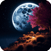 ~Sweet Dreams!~