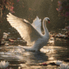 ~Have A Peaceful Weekend!~
