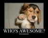 You´re awesome^^