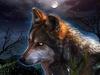 wolf nights