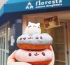 Cat Donuts