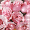 ღa bouquet of pinkrosesღ