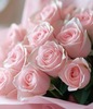 Pink roses to brighten your day 