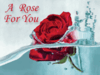 A Rose for You.