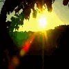 Have A Beautiful Day!!
