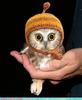 Thx for shopping! Here's an owl