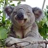 Friendly Aussie Smile