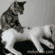 Giving you a relaxing massage
