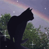 A rainbow for your page