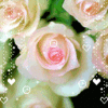 Roses to brighten your day~♥ 