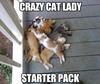 crazy cat lady starter pack