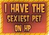 the sexiest pet 