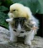 Lean on me