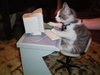 Busy working!