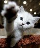 Hi there :D