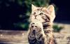 Sooo sweet