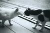 Nice to meet you :D