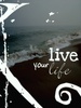 Live_Ur_Life