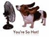 You're So Hot!!