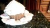 Giant Cupcake &lt;3