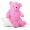 A special Pink Teddy for me