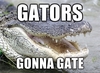 Gators Gonnna Gate