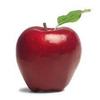 An apple for teacher