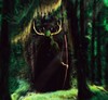the wisdom of Herne the Hunter.