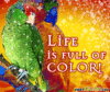 Life is Full of Color