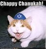 Chappy Chanukah!