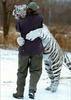 Some Tiger Love