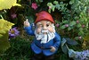 Gnomie for my ownie 