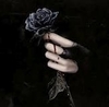 A Black Rose For My Love