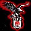 for bjk 