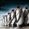 Penguin Army Donation
