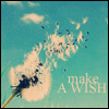 [Make A Wish My Love]