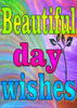 beautiful day wishes