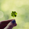 a Little luck for your day 