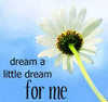 dream a little dream