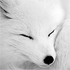 Just a Peaceful Sleep