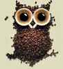 Owl have some coffee...