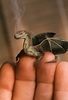 A Baby Dragon for You