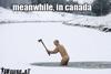 Meanwhile in Canada...