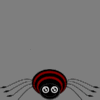EXCITED SPIDER