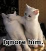 Ignore Him!!