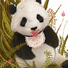 Cute Panda to cheer you up
