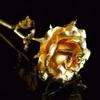 Give You a Golden Rose