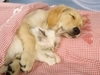 Sweet cuddles for you :-)
